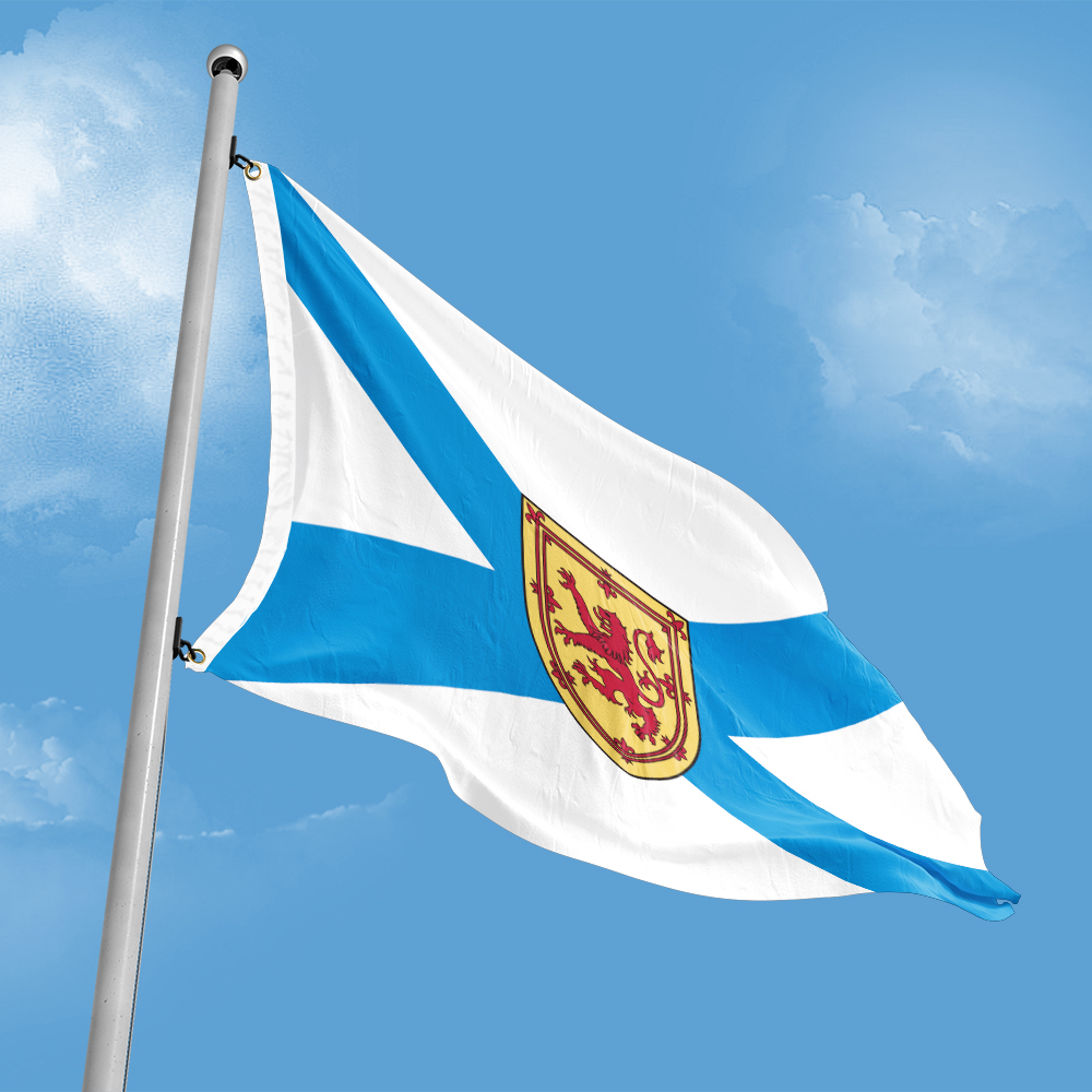 Canada Flag of Nova Scotia 3ft - đánh giá và giá Nova Decor & Lighting Juletrelys