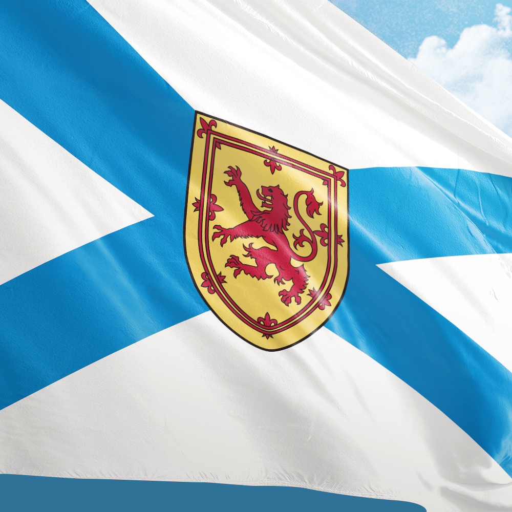 Canada Flag of Nova Scotia 3ft - đánh giá và giá Nova Decor & Lighting Juletrelys