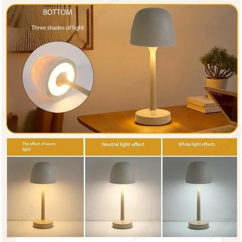Night Light with Remote Contro - đánh giá và giá Decor Lighting Cy